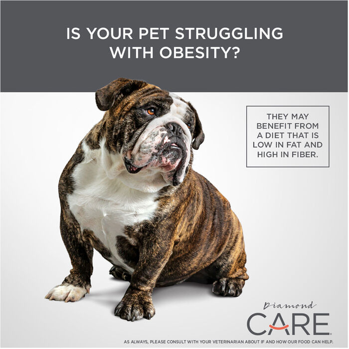 63544 product detail number 1.0