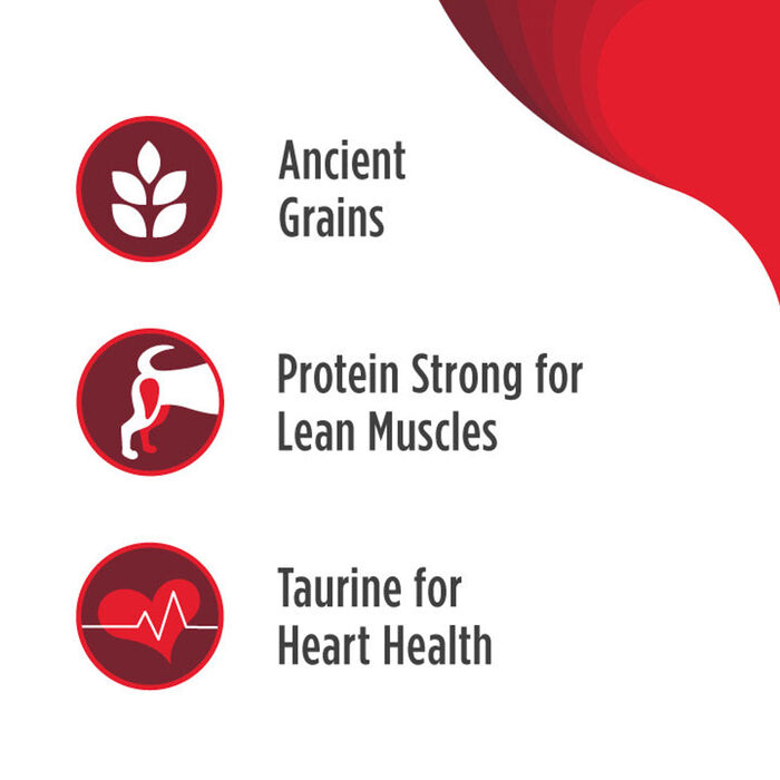 67436 product detail number 1.0