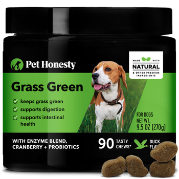 Pet Honesty Grass Green Duck Flavored Soft Chews Grass Burn & Lawn Protection Supplement for Dogs 90 ct-product-tile