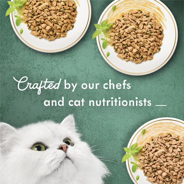 63109 product detail number 1.0