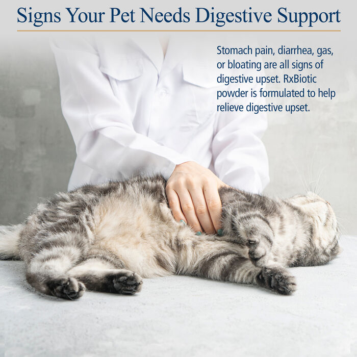 12924 product detail number 1.0