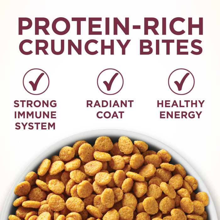 63765 product detail number 1.0