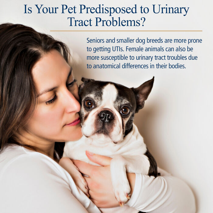 12921 product detail number 1.0