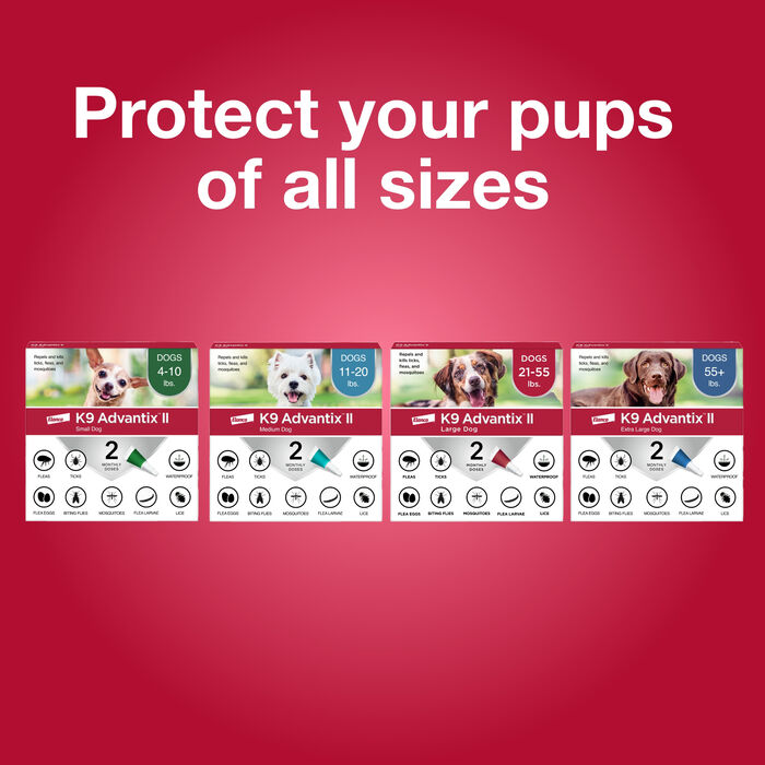 12239 product detail number 1.0