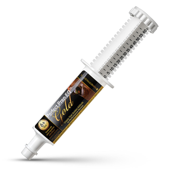 Perfect Prep EQ Gold Paste 1 oral syringe (60 cc)-product-tile