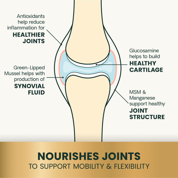 10925 product detail number 1.0