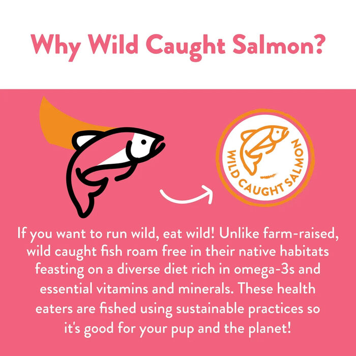 14246 product detail number 1.0