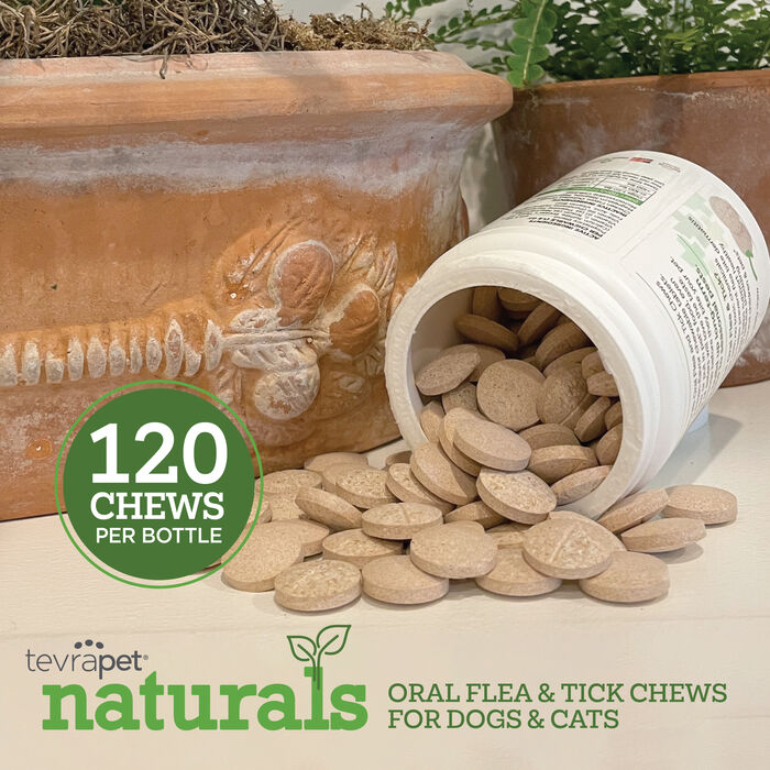 14434 product detail number 1.0