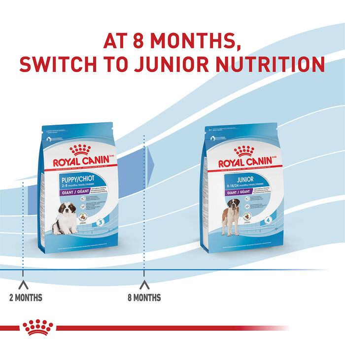 66772 product detail number 1.0