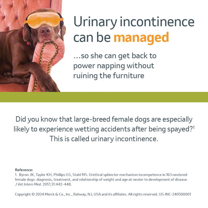 11742 product detail number 1.0