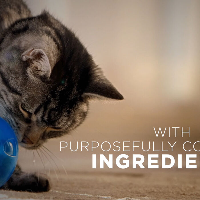 63751 product detail number 1.0