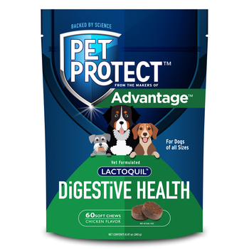 Pet Protect Lactoquil Digestive Health Soft Chew Supplement for Dogs 60 ct-product-tile