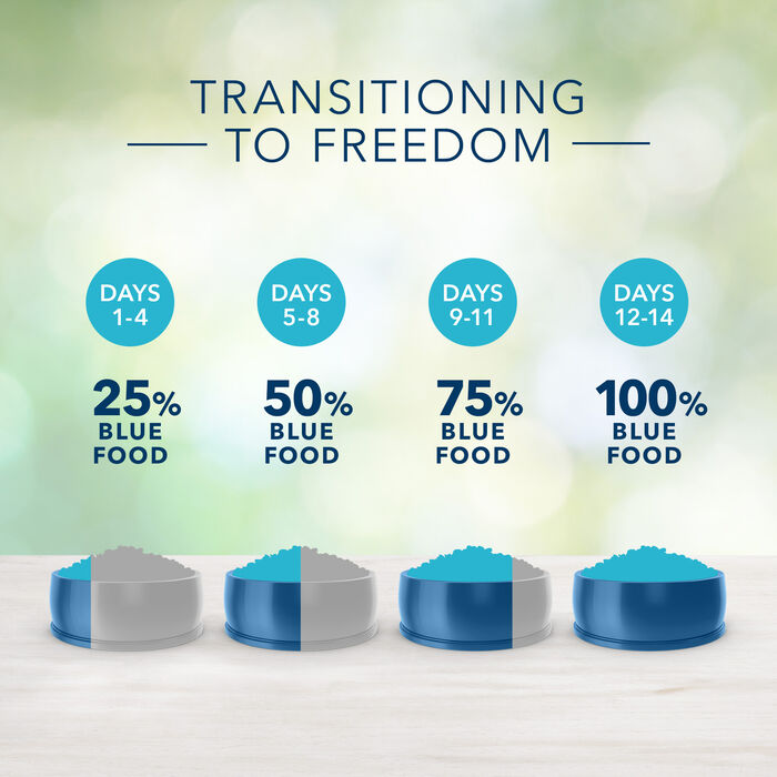 63964 product detail number 1.0