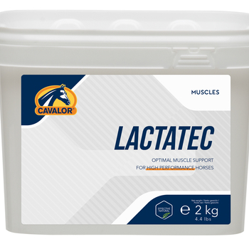 Cavalor Lactatec Muscle Recovery Supplement for Horses-product-tile