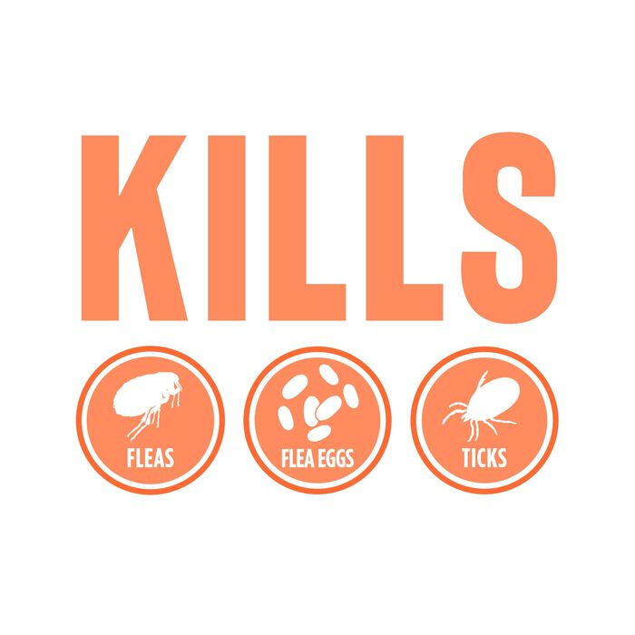 62677 product detail number 1.0