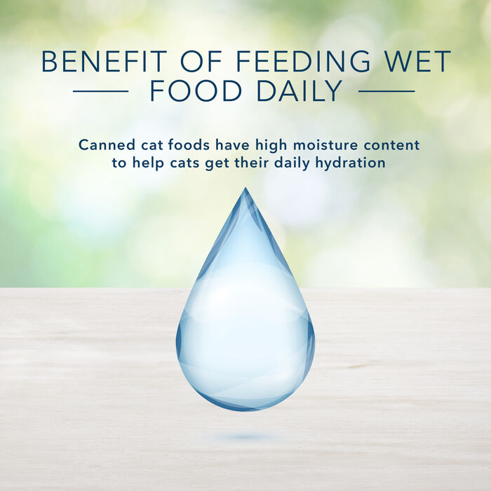 66782 product detail number 1.0