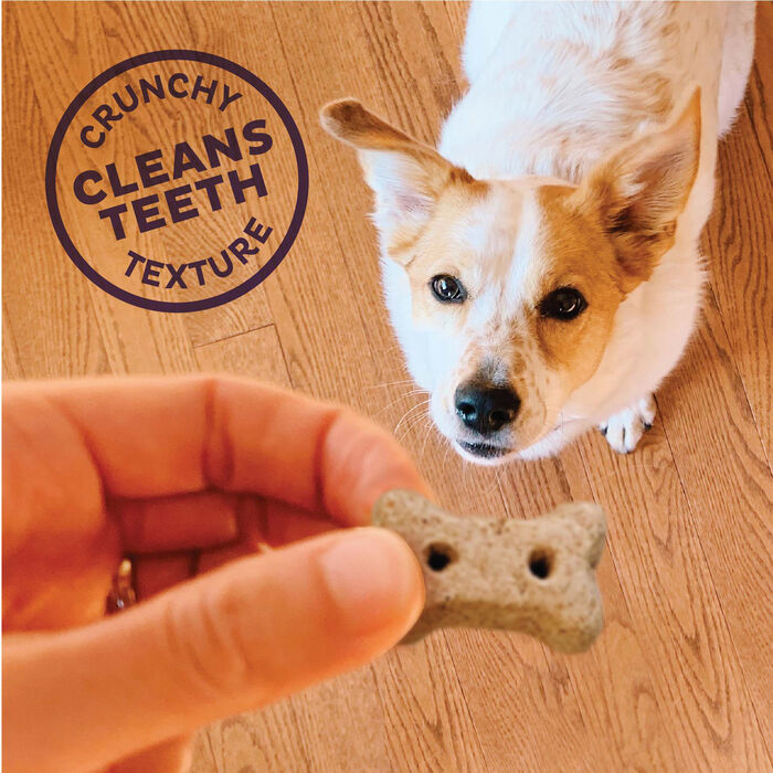 65884 product detail number 1.0