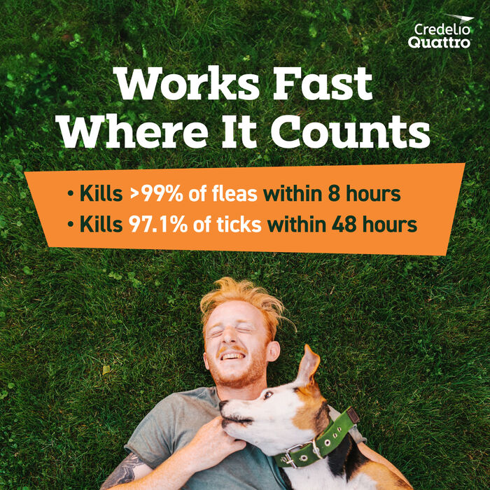 14189 product detail number 1.0