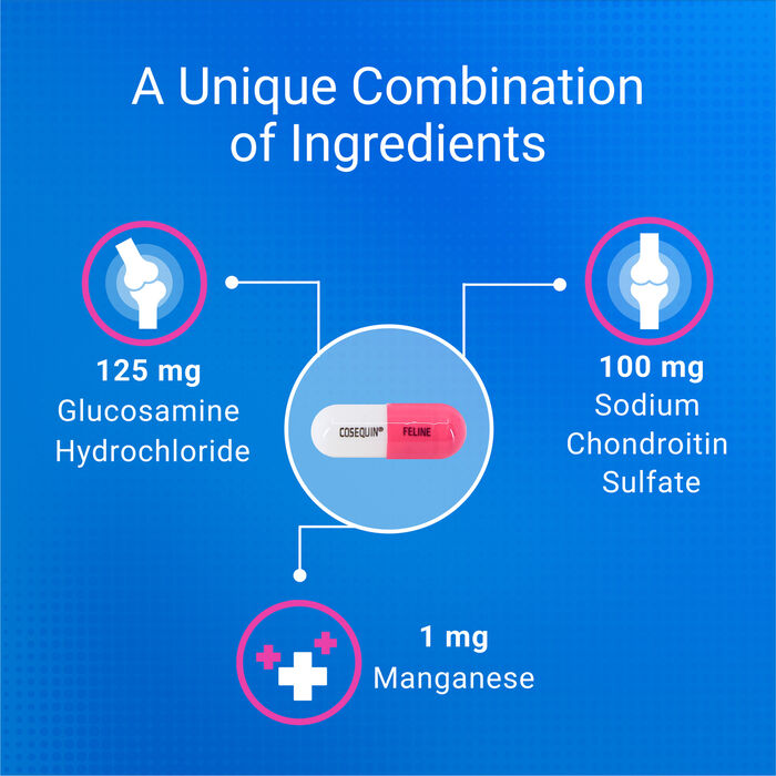 10330 product detail number 1.0