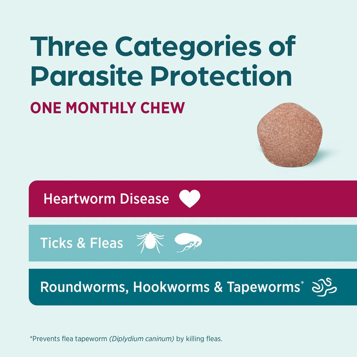 13399 13399 product detail number 1.0