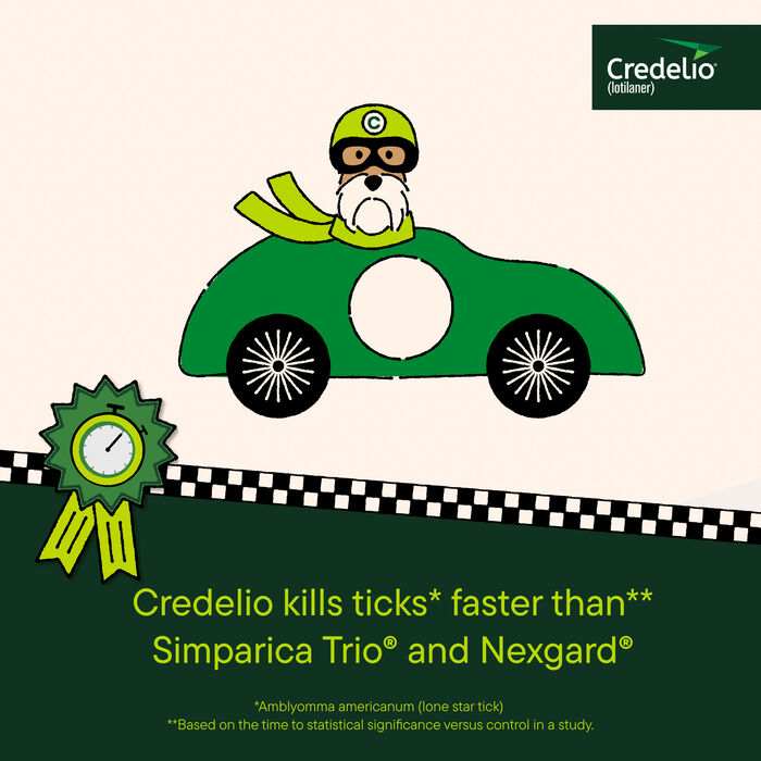 11936 product detail number 1.0