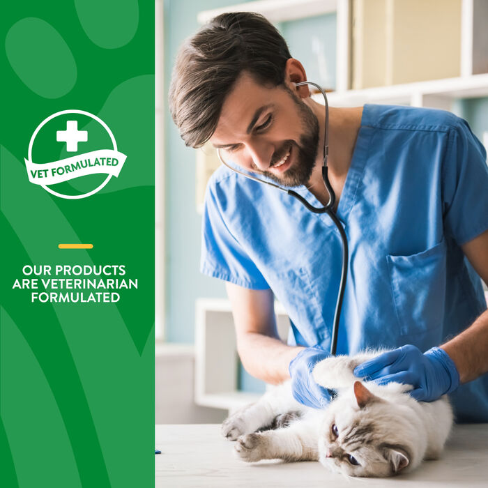 62966 product detail number 1.0