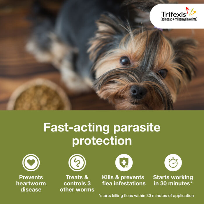 11190 product detail number 1.0