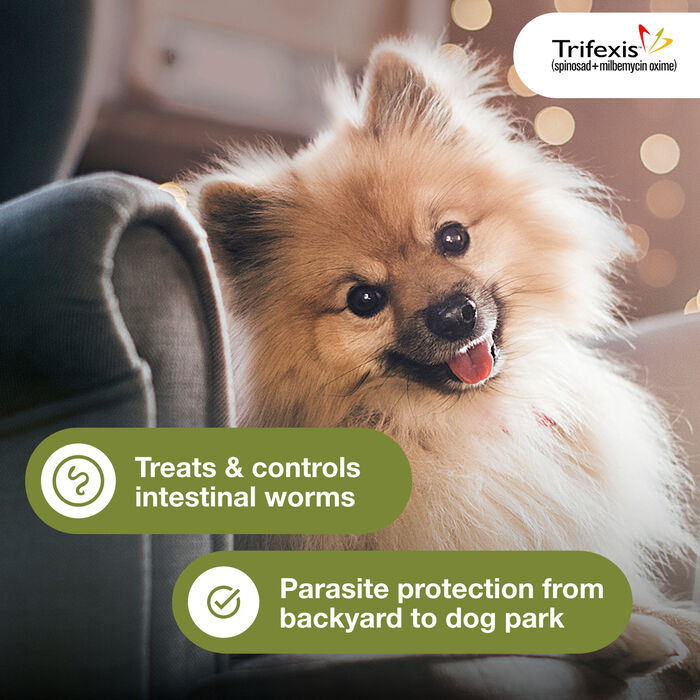 11190 product detail number 1.0