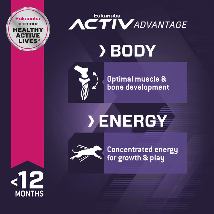 61857 product detail number 1.0