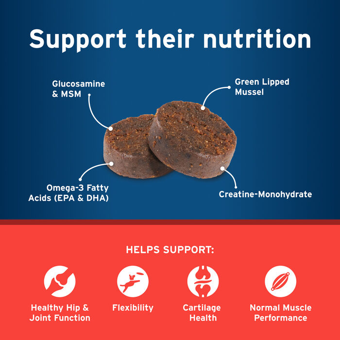 11181 product detail number 1.0