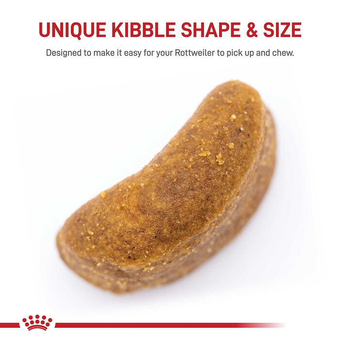 66694 product detail number 1.0