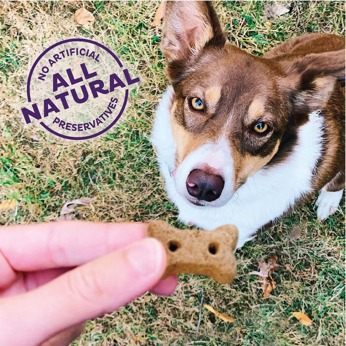 65882 product detail number 1.0