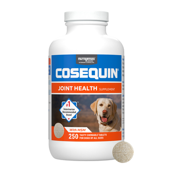 Nutramax Cosequin for Dogs Joint Health Supplement Contains Glucosamine for Dogs Plus Chondroitin and MSM Supports Healthy Joints For All Breeds and Sizes Tasty Chewable Tablets for Dogs - 250 Count-product-tile