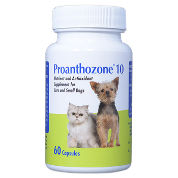 Proanthozone Antioxidant Small Dogs & Cats 10 mg 60 ct Proanthozone Antioxidant Small Dogs & Cats 10 mg 60 ct-product-tile