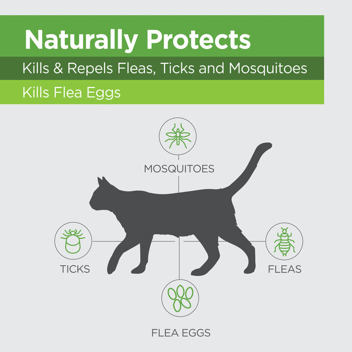 14439 product detail number 1.0