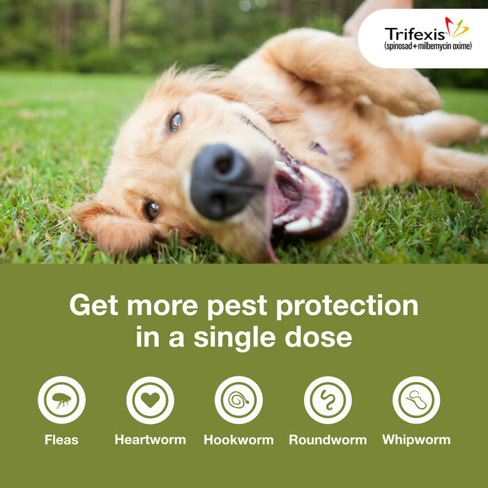 11190 product detail number 1.0