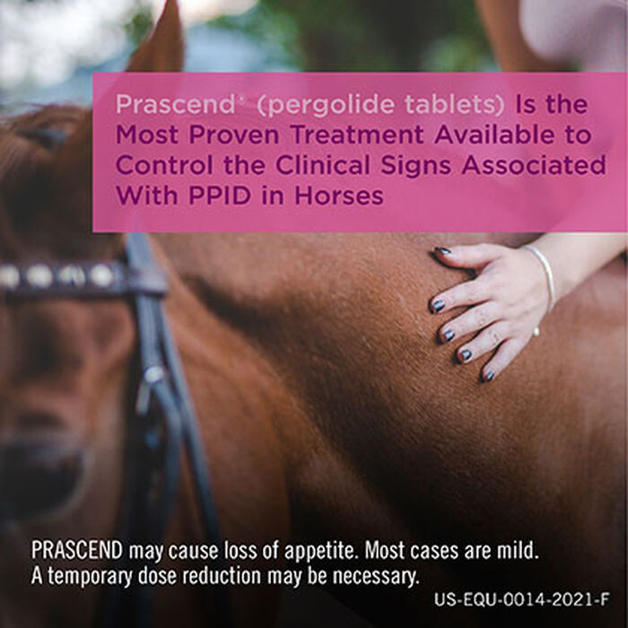 12147 product detail number 1.0