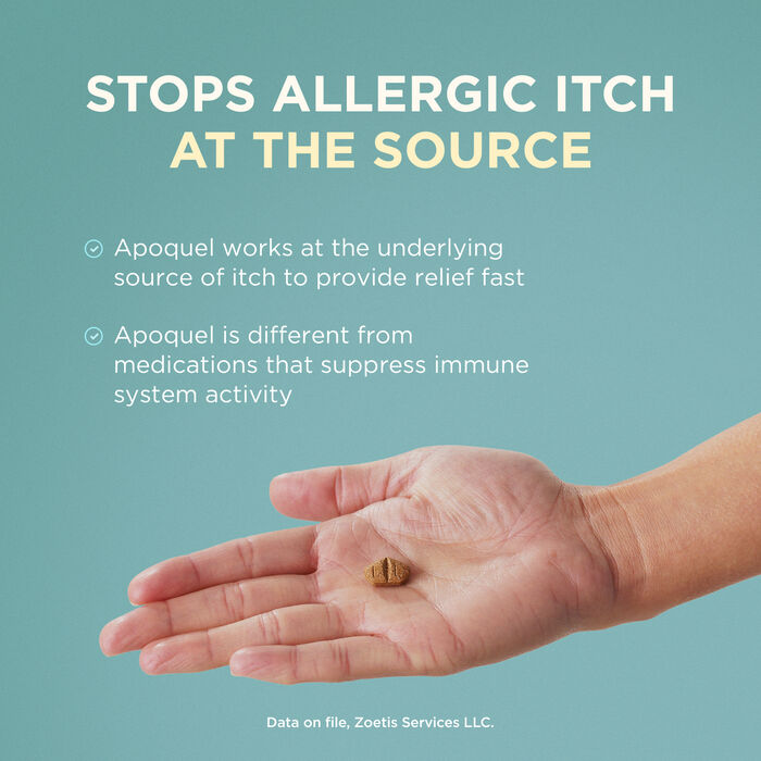 13392 product detail number 1.0