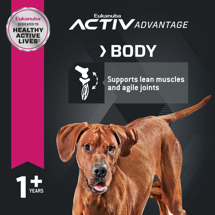 61838 product detail number 1.0