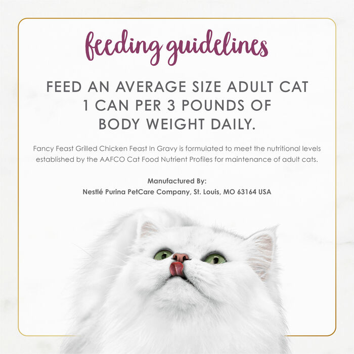 63206 product detail number 1.0