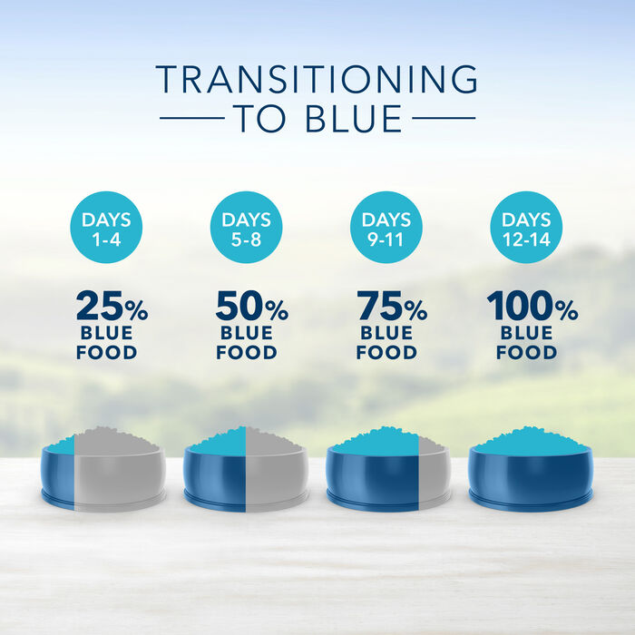 66890 product detail number 1.0