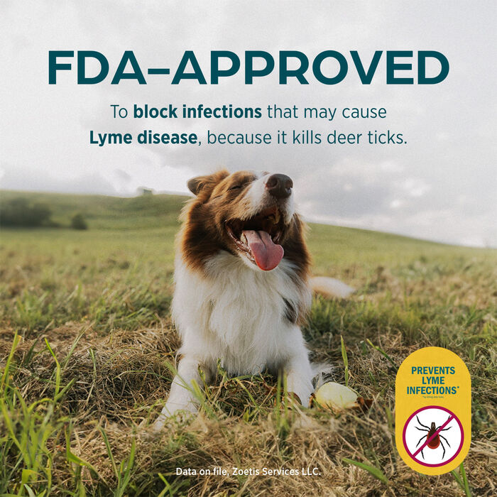 11716 11716 product detail number 1.0