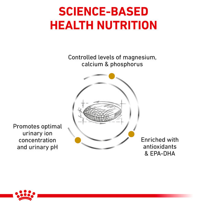 67566 product detail number 1.0