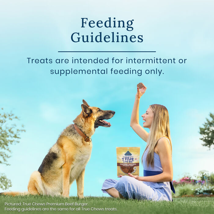 66816 product detail number 1.0