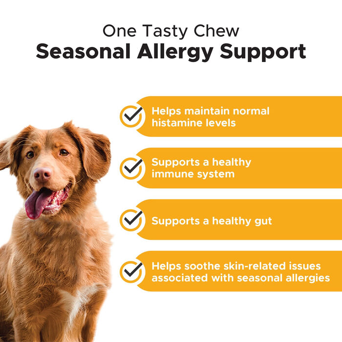 12998 product detail number 1.0