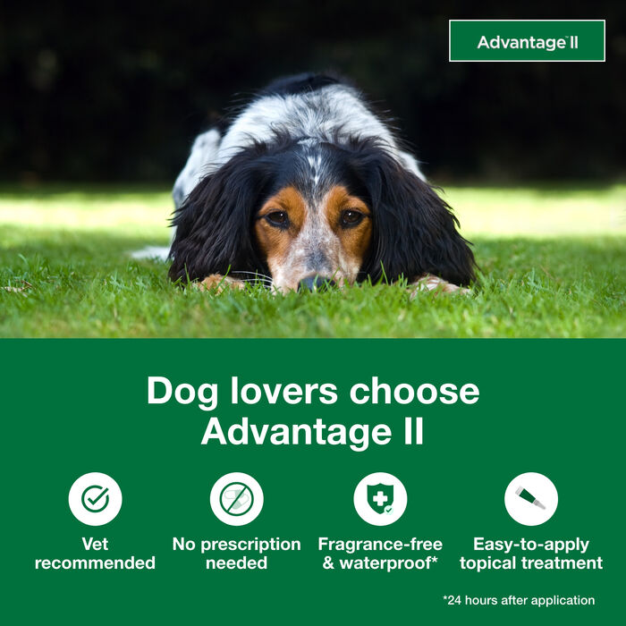 10028 product detail number 1.0