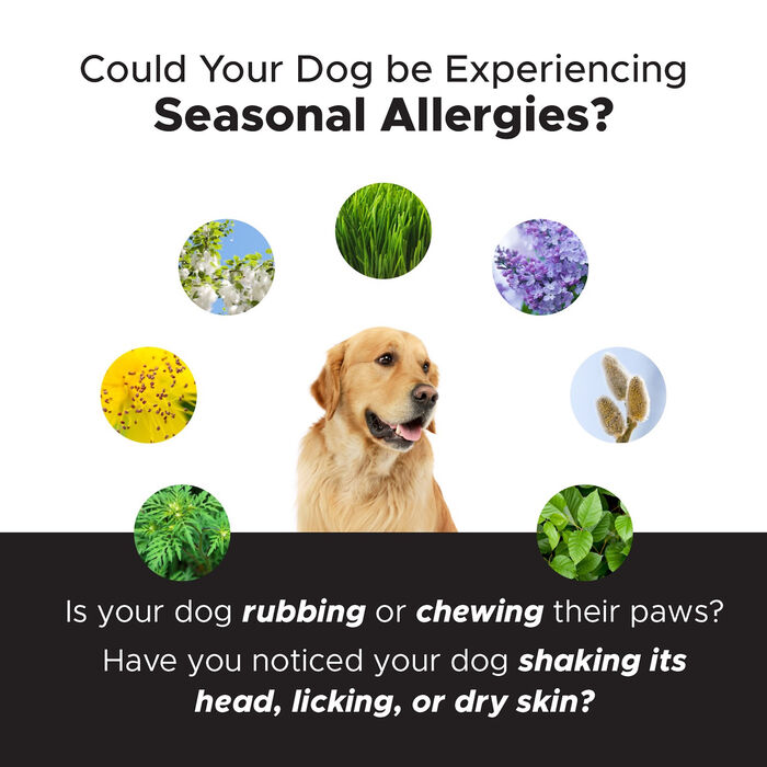 12998 product detail number 1.0