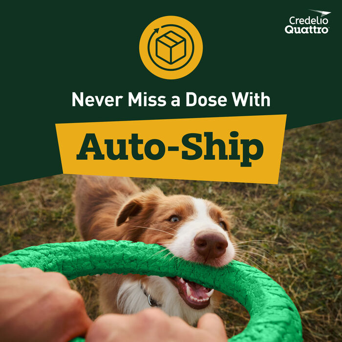 14189 product detail number 1.0