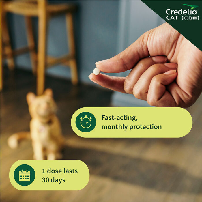 12830 product detail number 1.0