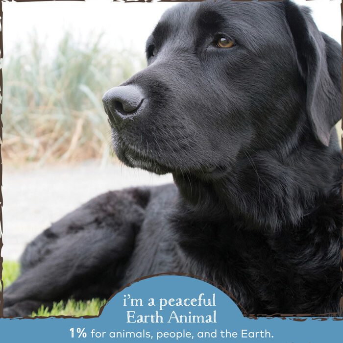 61596 product detail number 1.0